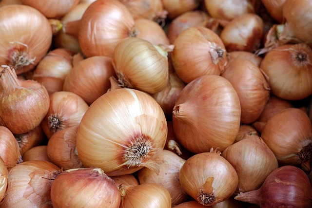 onions, vegetables, white onions, food, healthy, vegetable market, vegetable stand, farmer's market, produce, organic, harvest, fresh, fresh onions, fresh produce, onions, onions, onions, onions, onions, vegetables